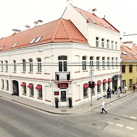 Rudninkai VNO